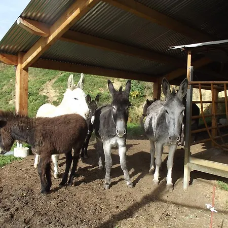 D'hotes Le Belvedere 2*