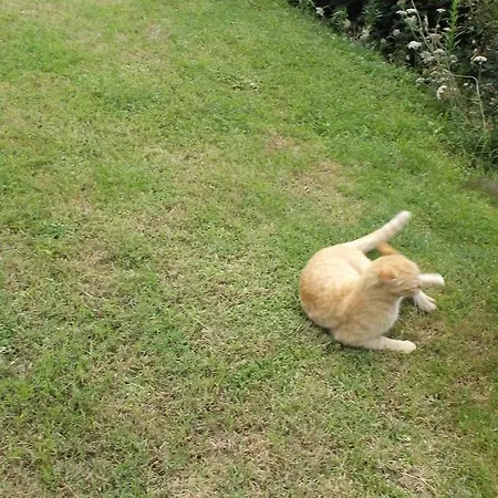 D'hotes Le Belvedere