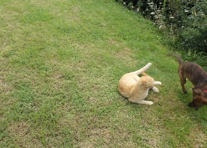 D'hotes Le Belvedere